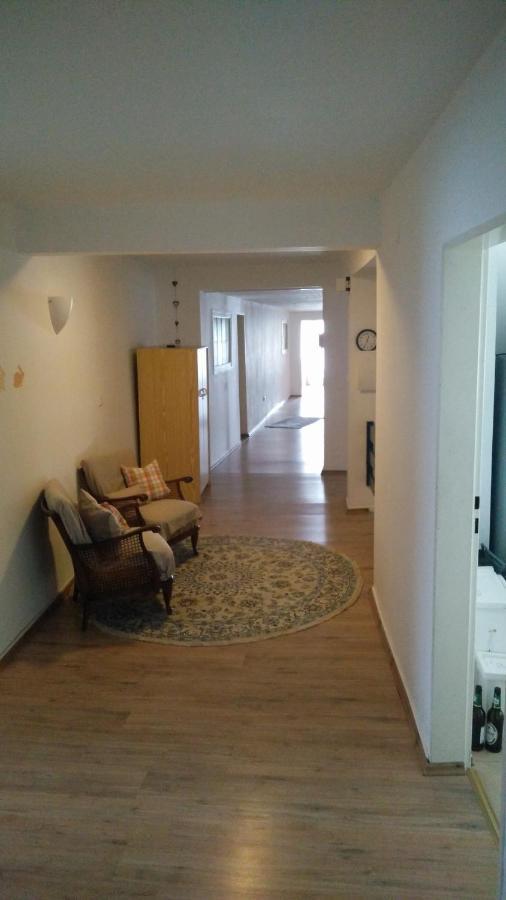 Pension Wiesental Екстер'єр фото